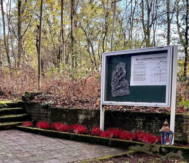 Screenshot_20221104-072327_Instagram 1